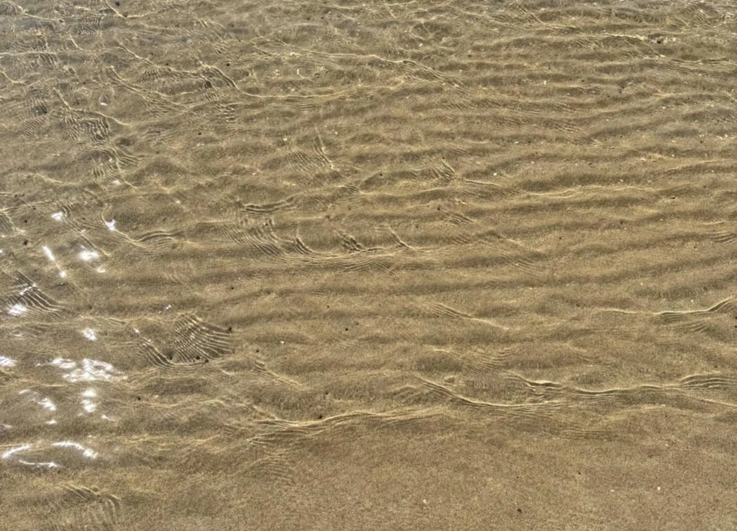 Prestige Beach & Wellness House 프리블라카